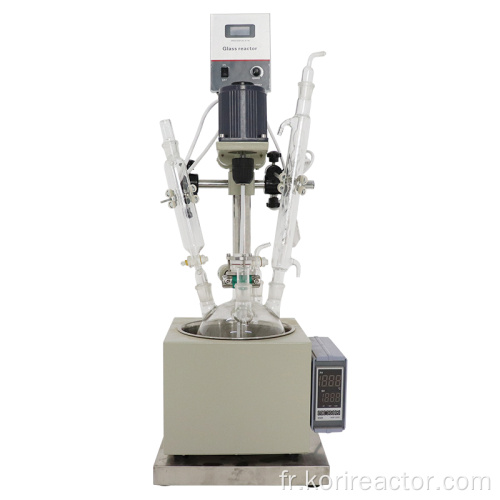 Réacteur en verre biologique monocouche de laboratoire DF-5L